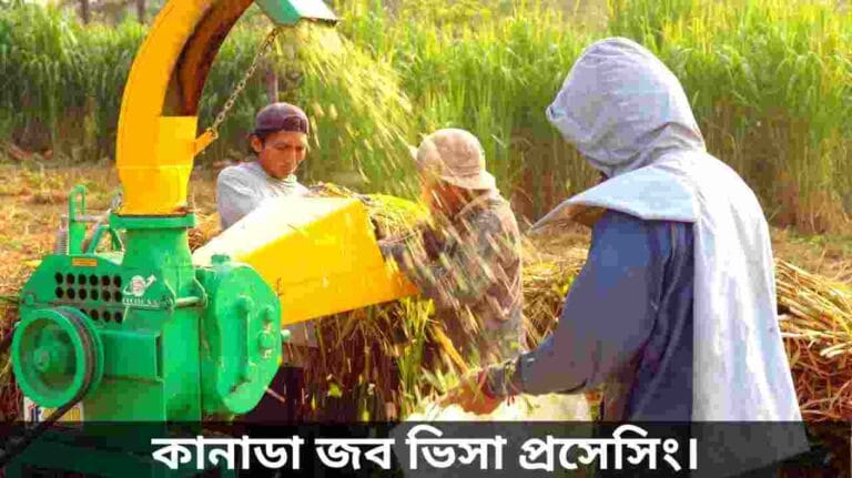 কানাডা জব ভিসা প্রসেসিং
