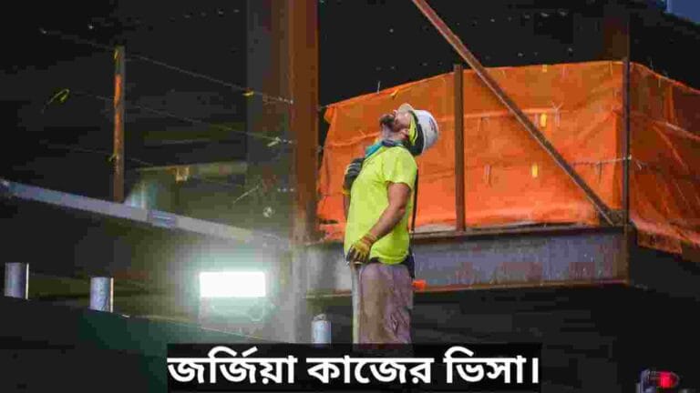 জর্জিয়া কাজের ভিসা