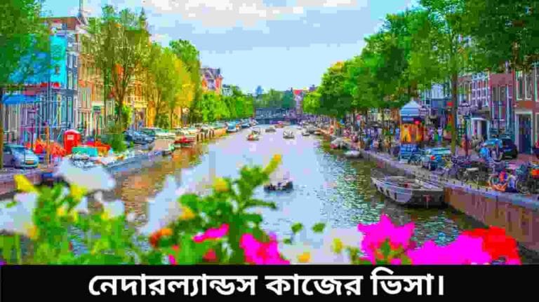 নেদারল্যান্ডস কাজের ভিসা