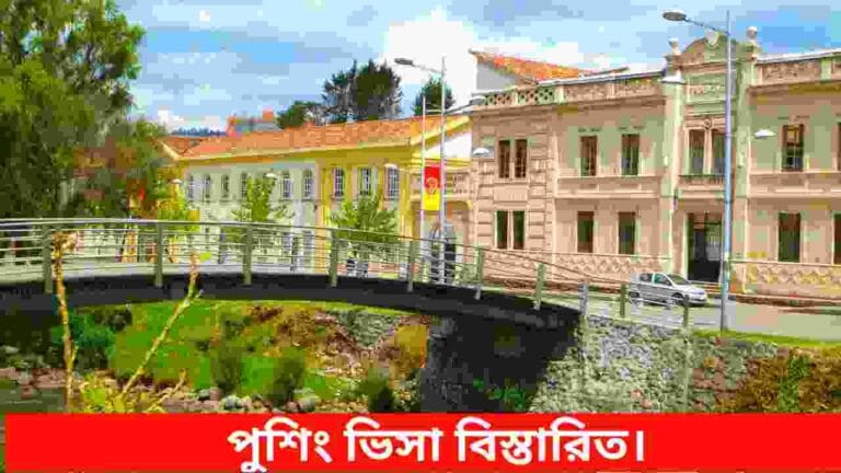 পুশিং ভিসা