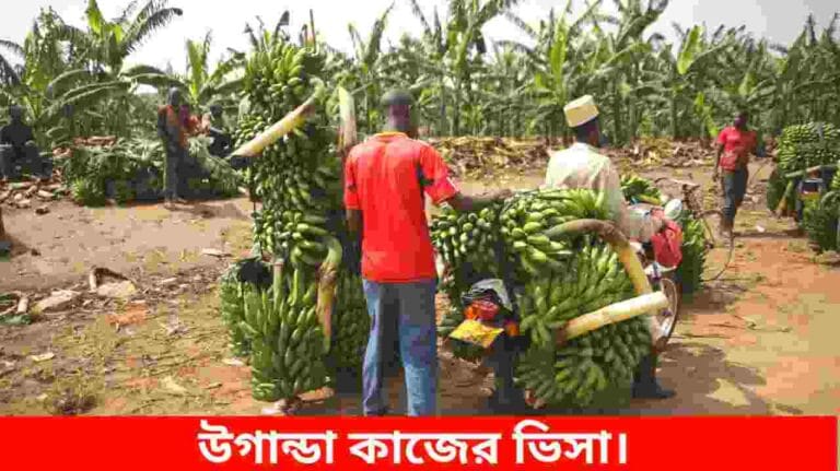 উগান্ডা কাজের ভিসা