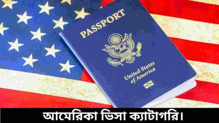 আমেরিকা ভিসা ক্যাটাগরি