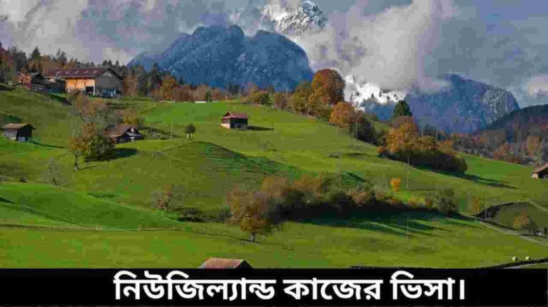 নিউজিল্যান্ডে কাজের ভিসা